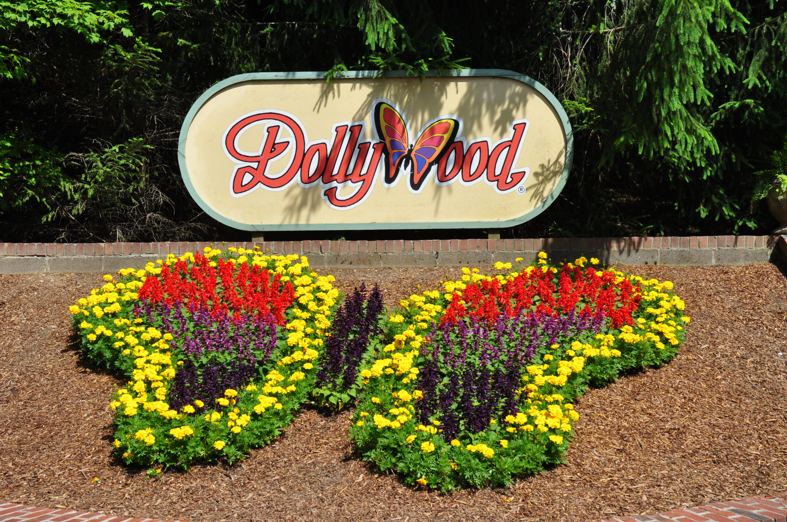 Flowers planted in the shape of a butterfly in front of a Dollywood sign.