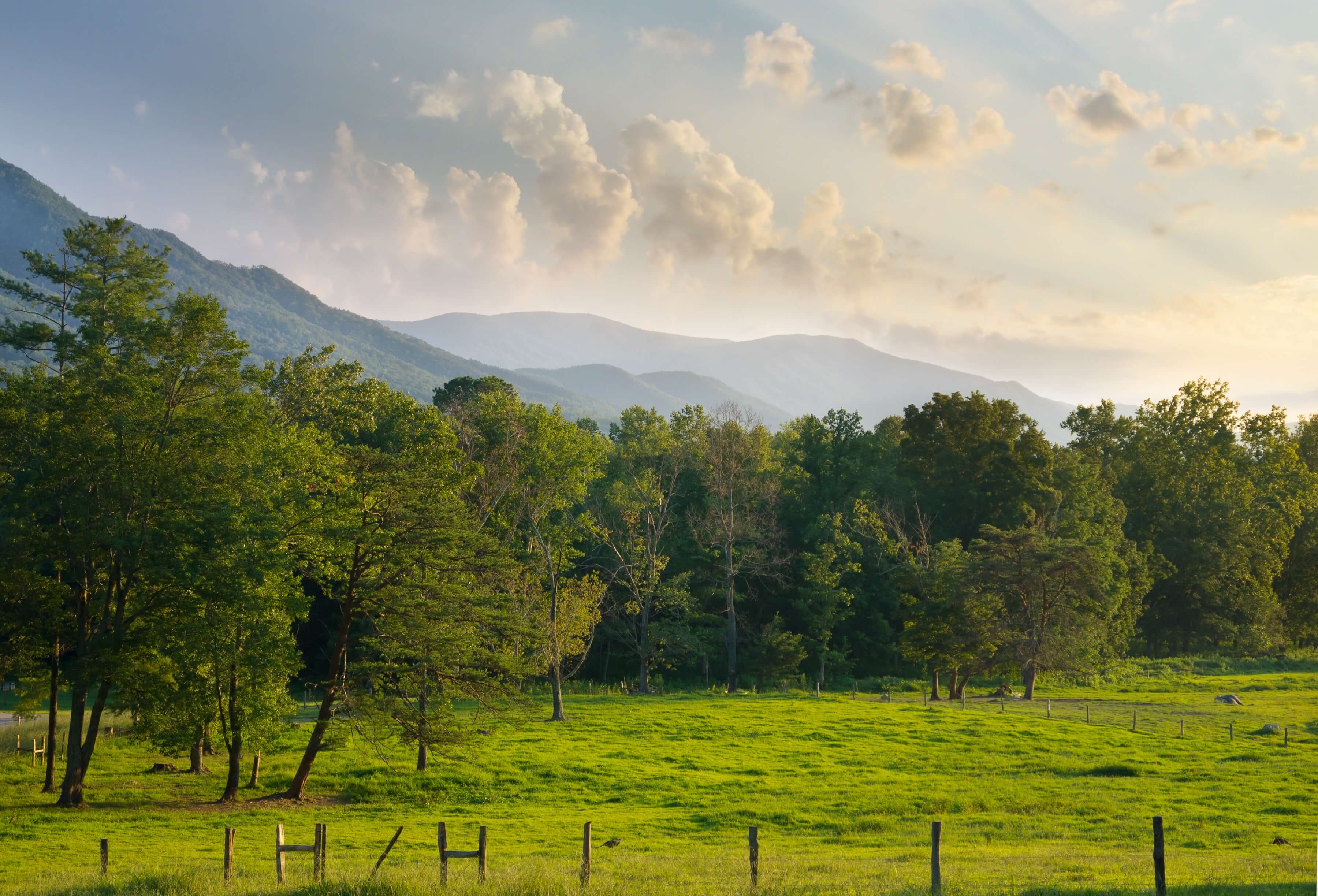 Smoky Mountain Toy & Pedalcar Show