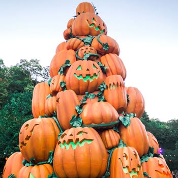 Dollywood's Harvest Festival