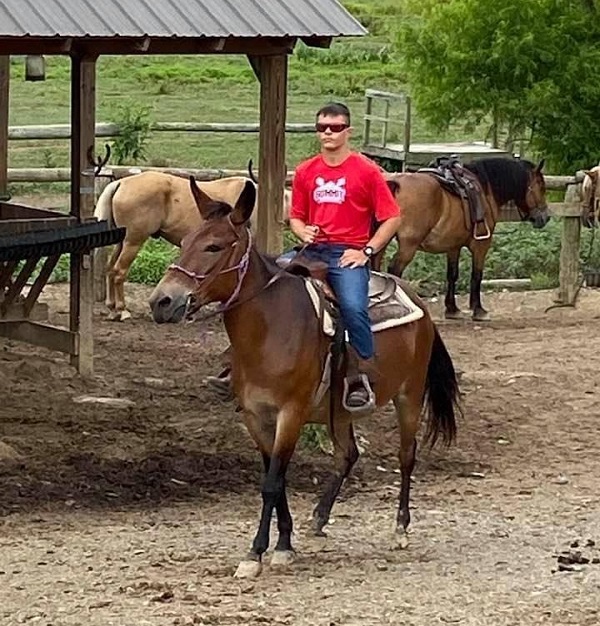 Gold Rush Stables Photo 1