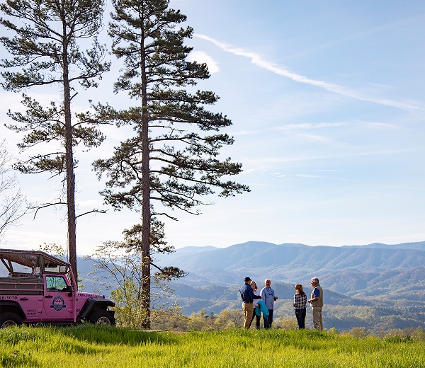 Pink Jeep Tours photo 1