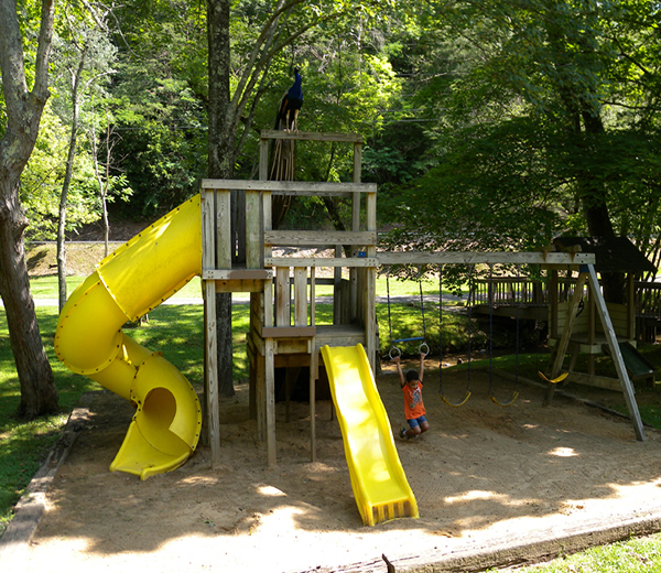 Big Rock Dude Ranch Pic 5