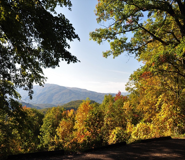 Smoky Mountain Jeep Tours Pic 2