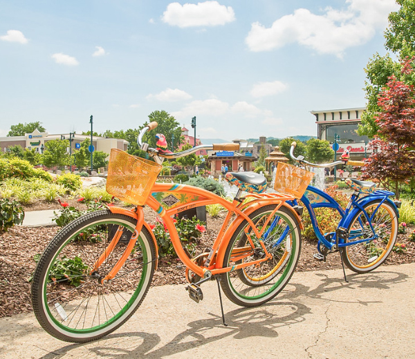 Bike Rentals