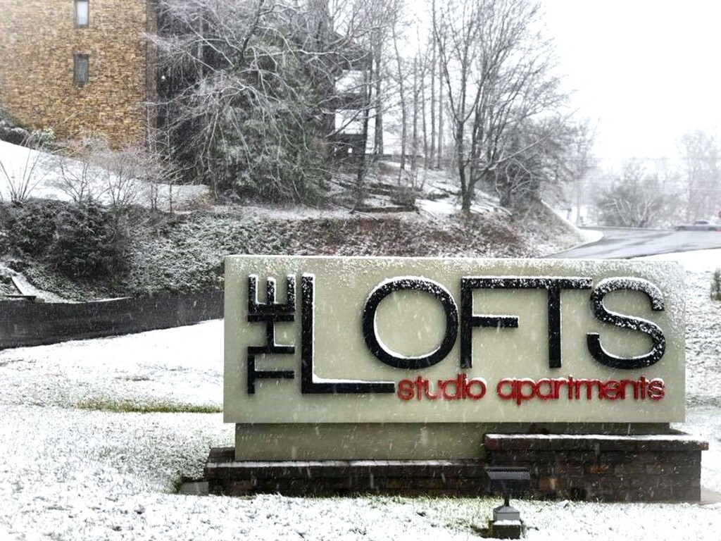 the lofts snow logo.jpg