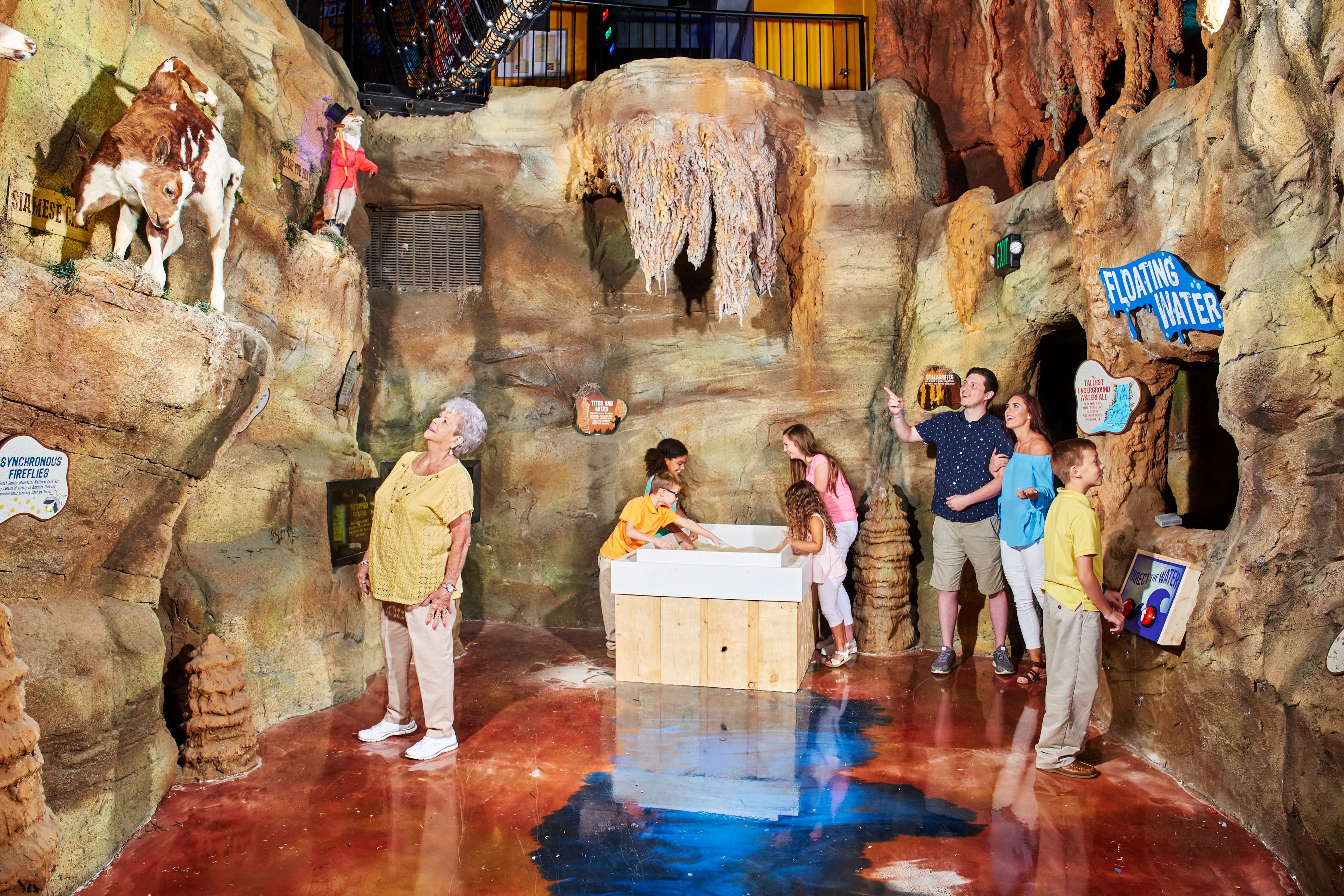 Ripley's Believe It or Not! Odditorium  Pic 3