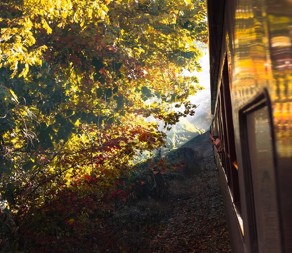 Great Smoky Mountains Railroad Pic 2