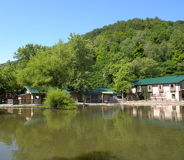 Fishing Pond