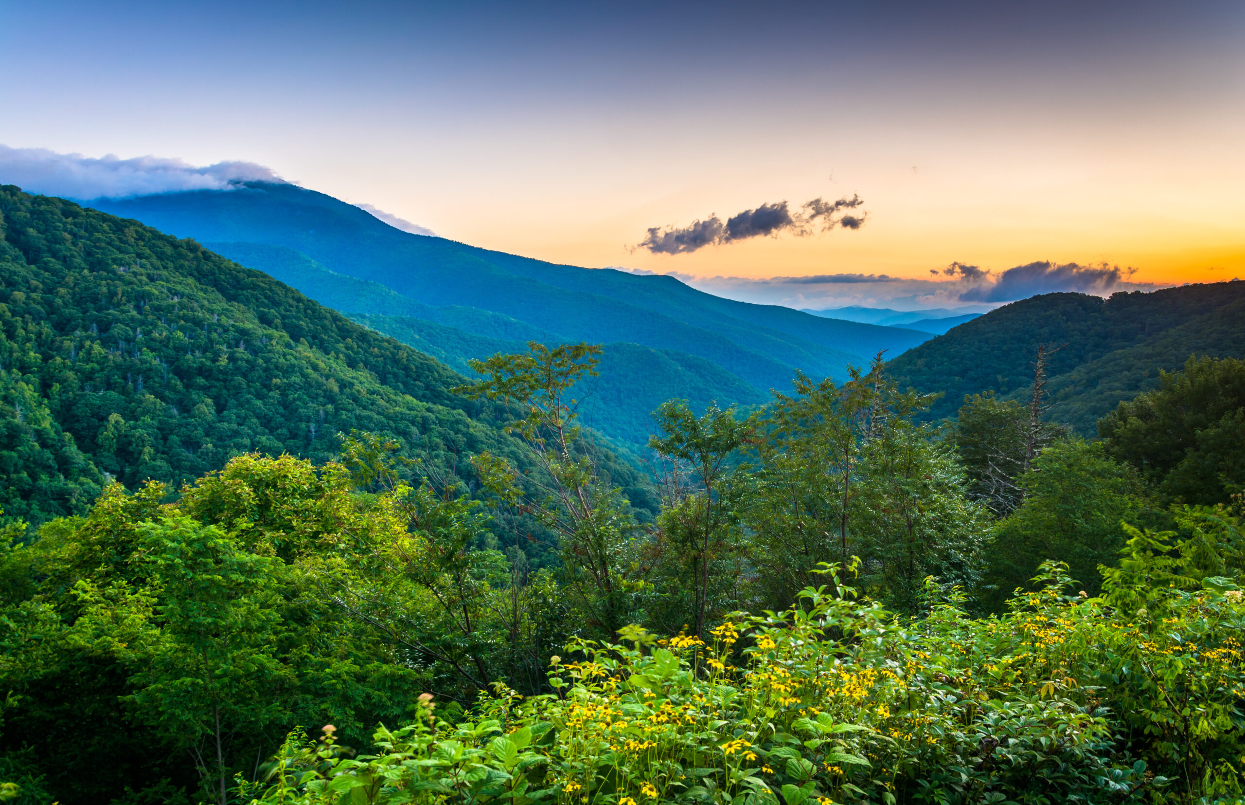 The Best Car Rides in the Smoky Mountains