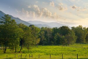 Photography Spots in the Great Smoky Mountains