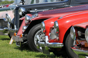 Cars lined up on the grass for a car show