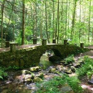 bridges near Pigeon Forge