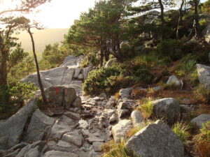 Hiking etiquette- Hiking trail