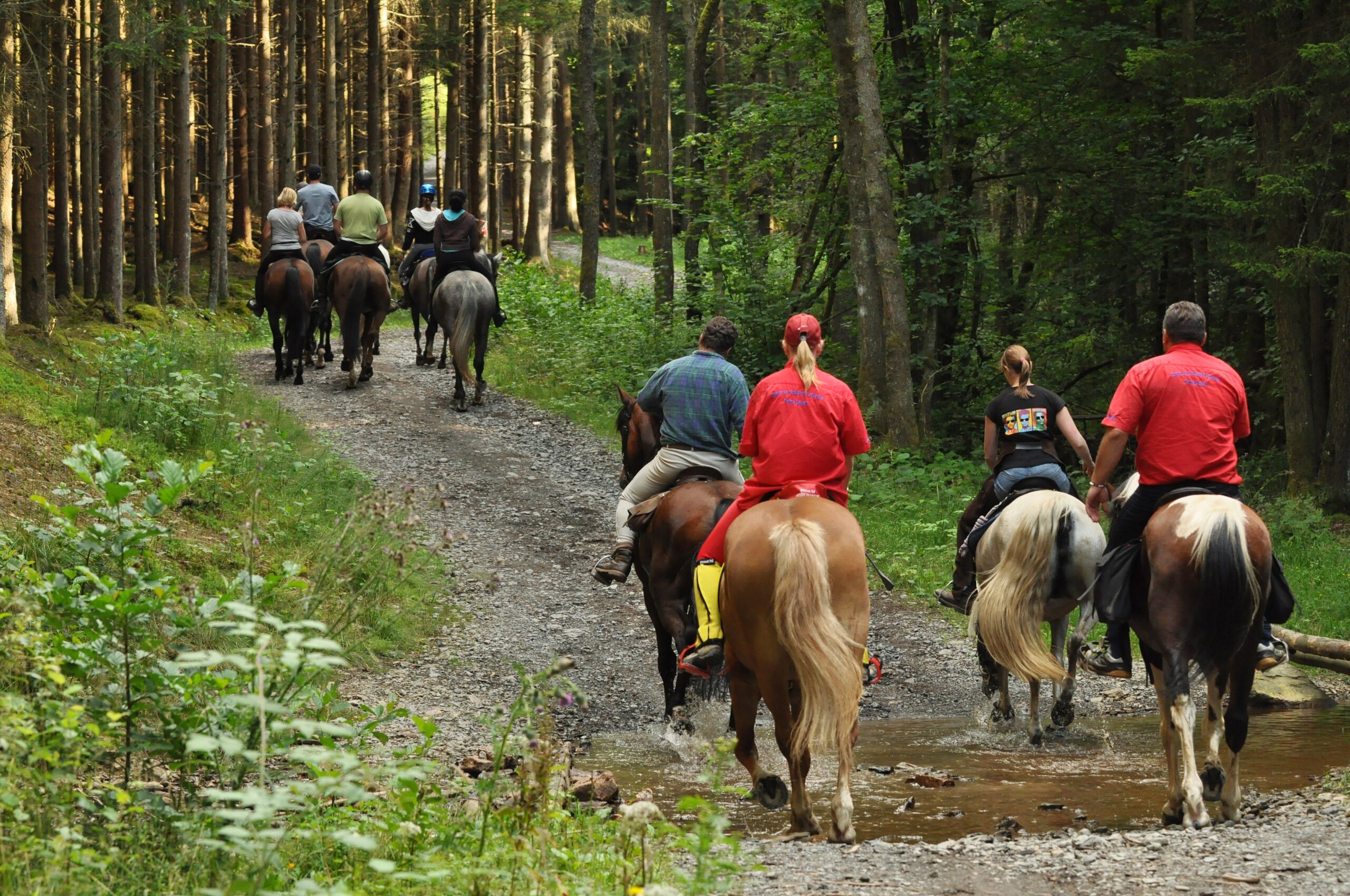 things to do in pigeon forge