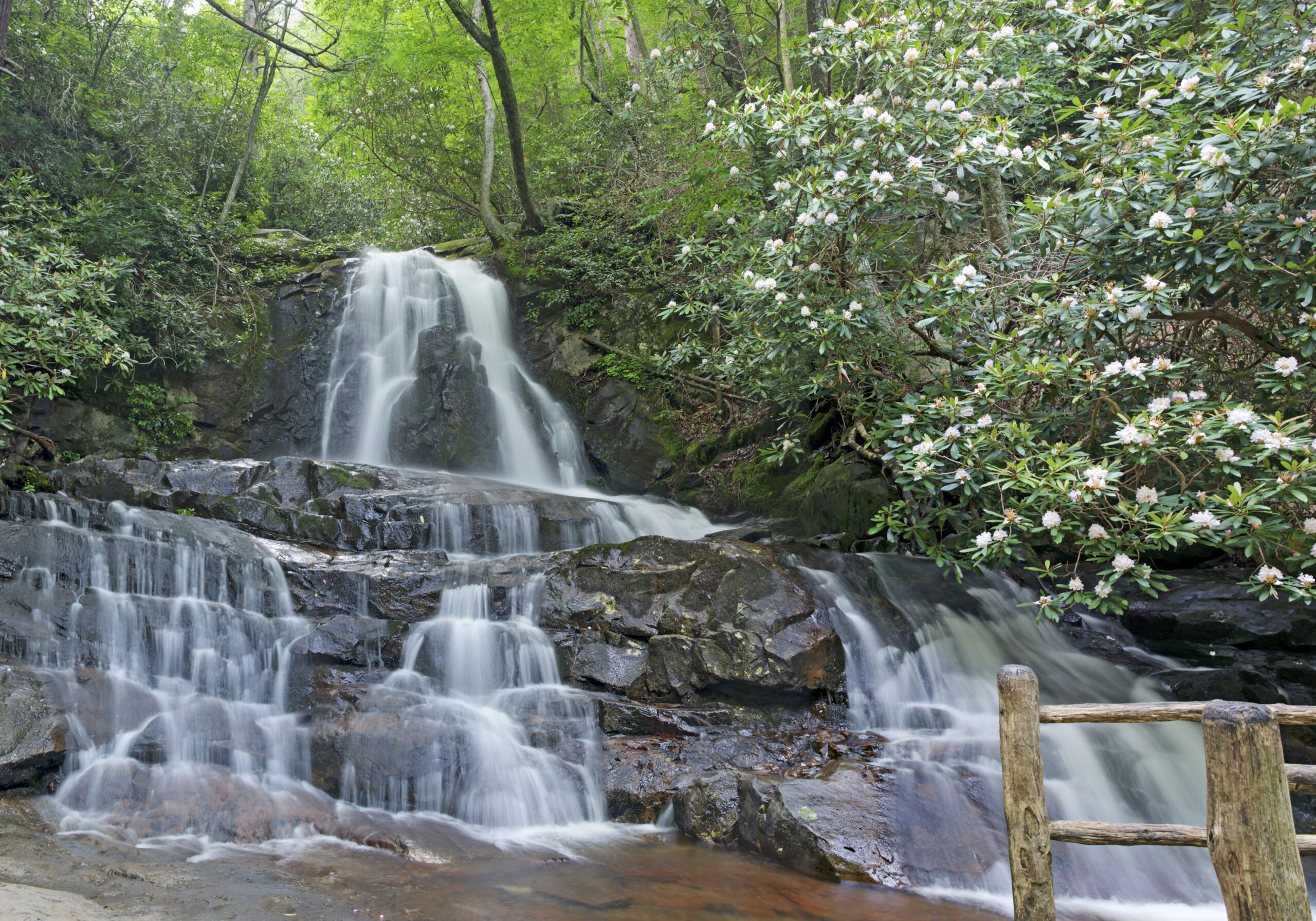 Laurel Falls is the perfect hike for families