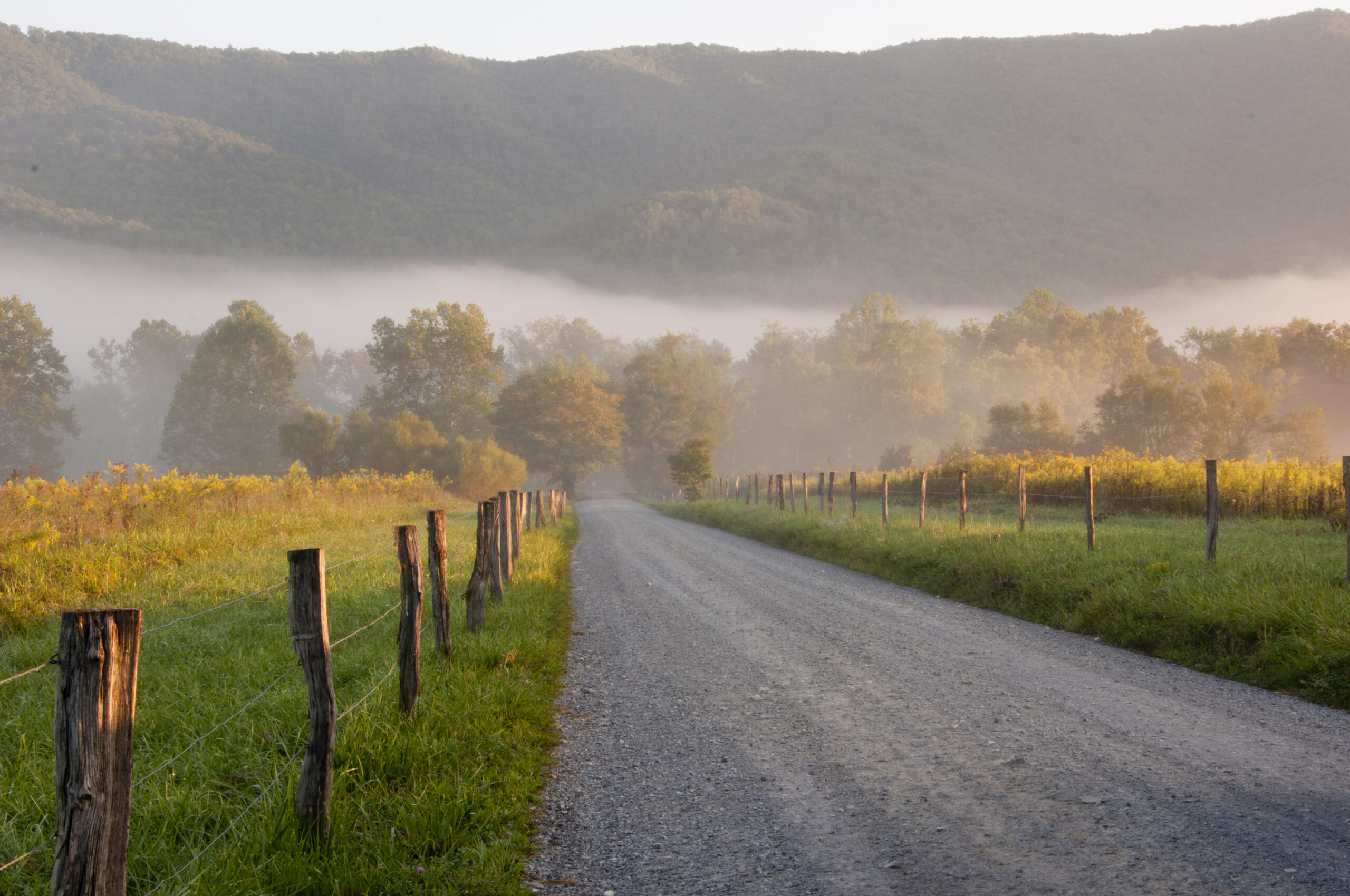 The Best Car Rides in the Smoky Mountains