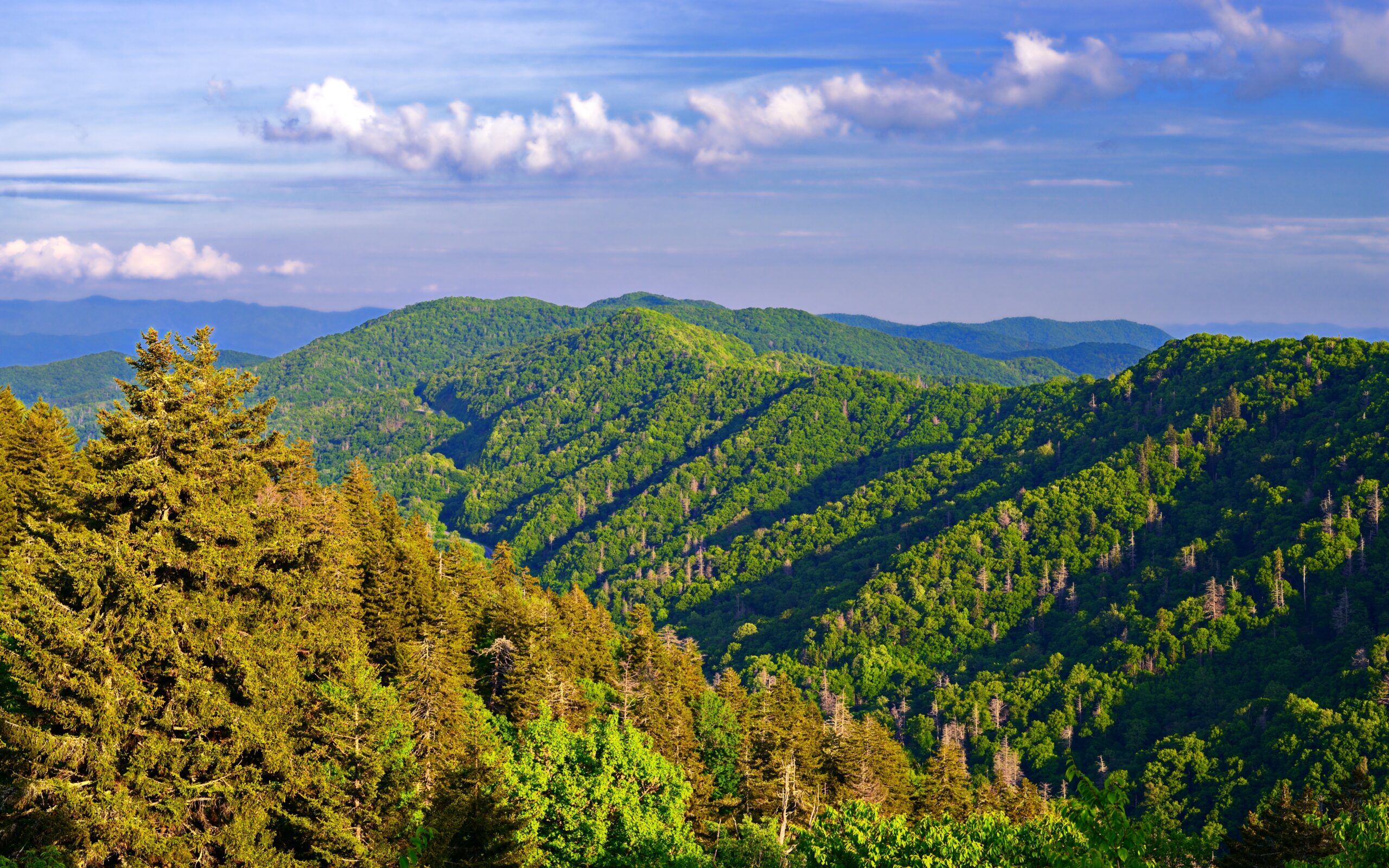 The Best Car Rides in the Smoky Mountains