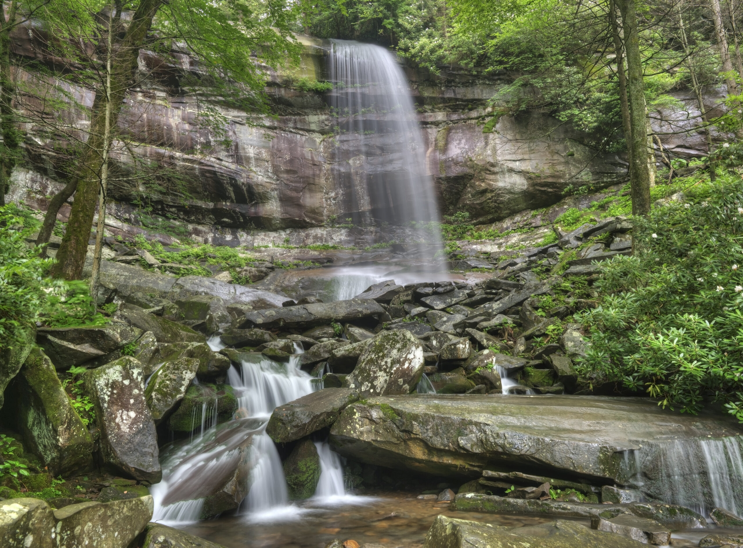 Photography Spots in the Great Smoky Mountains