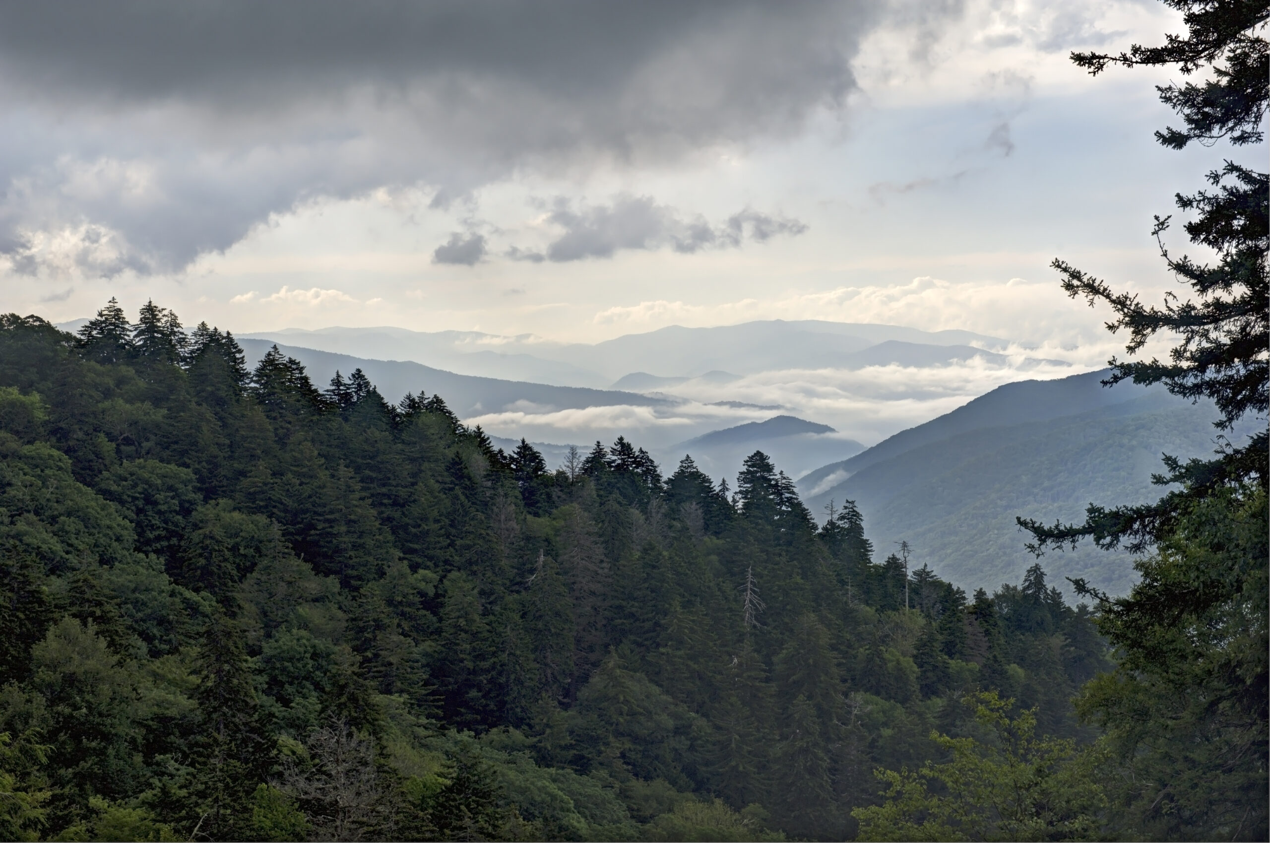 Photography Spots in the Great Smoky Mountains