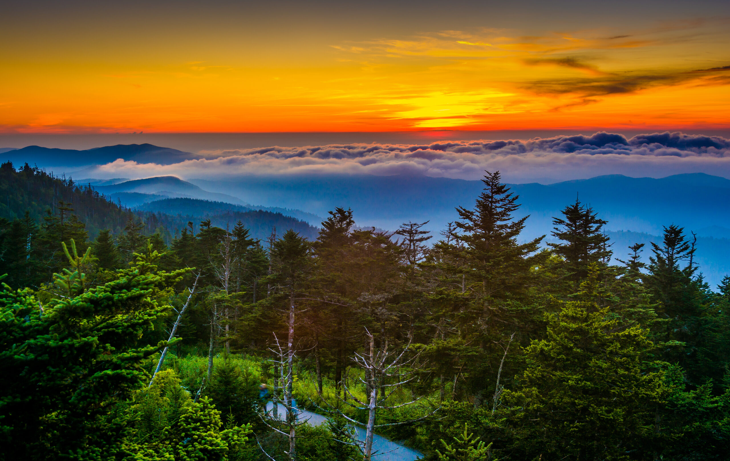 Photography Spots in the Great Smoky Mountains