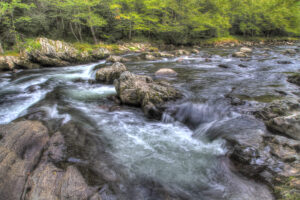 Fishing in the Great Smoky Mountains