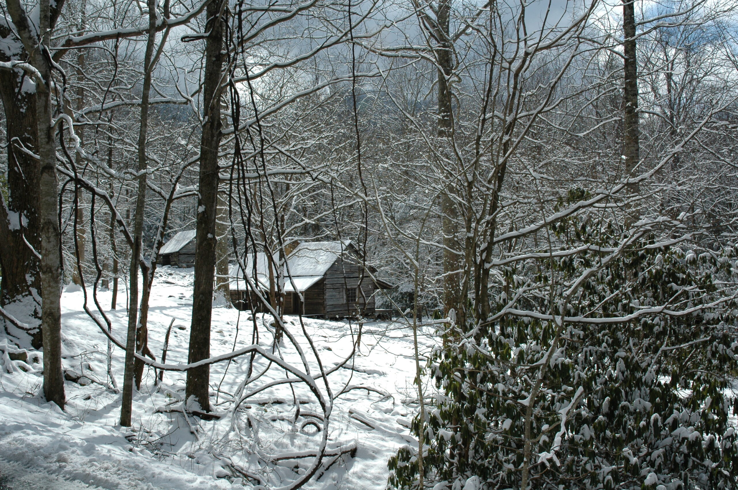 finding artifacts in the park is a fun winter thing to do