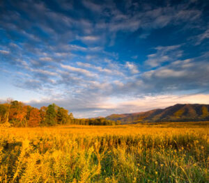 Cades Cove in the Great Smoky Mountains