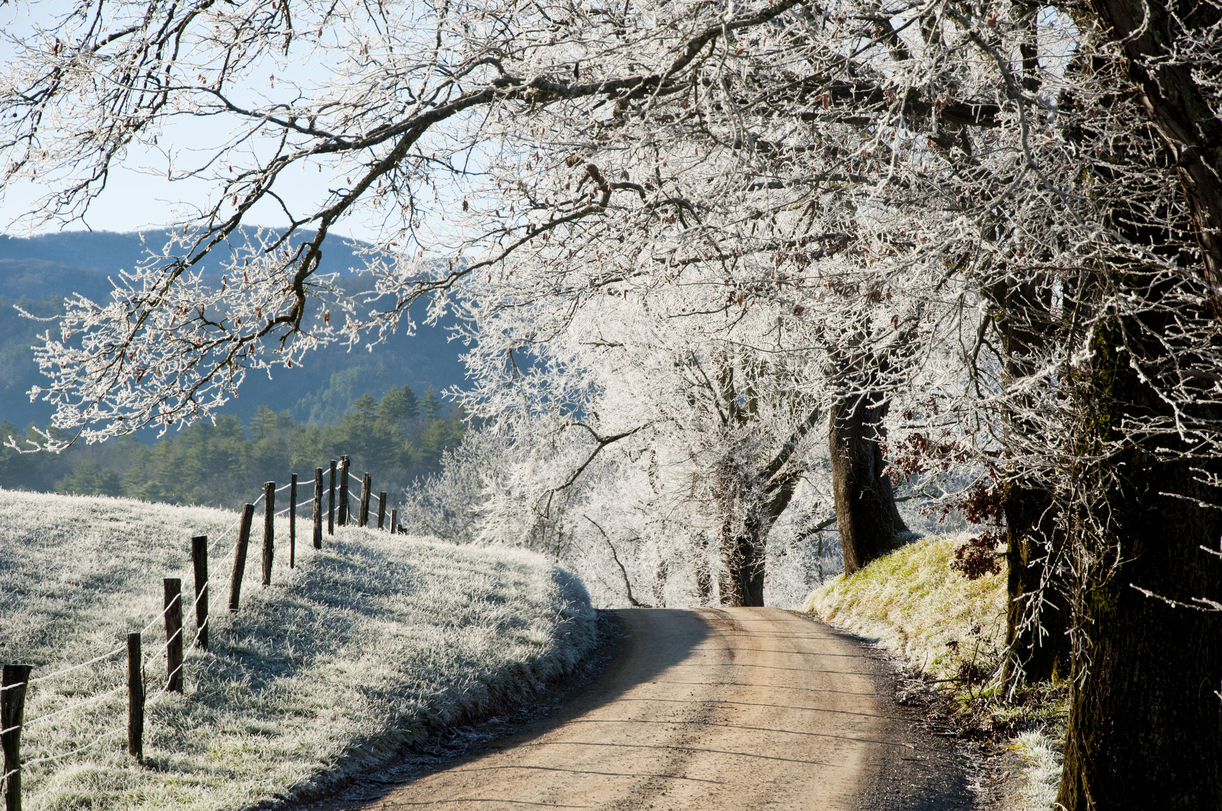 Cades Cove in the winter