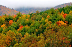 Fall in Pigeon Forge