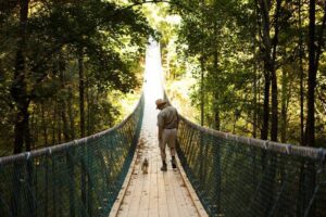 bridges near Pigeon Forge