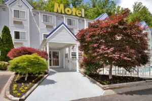 pet friendly hotels pigeon forge