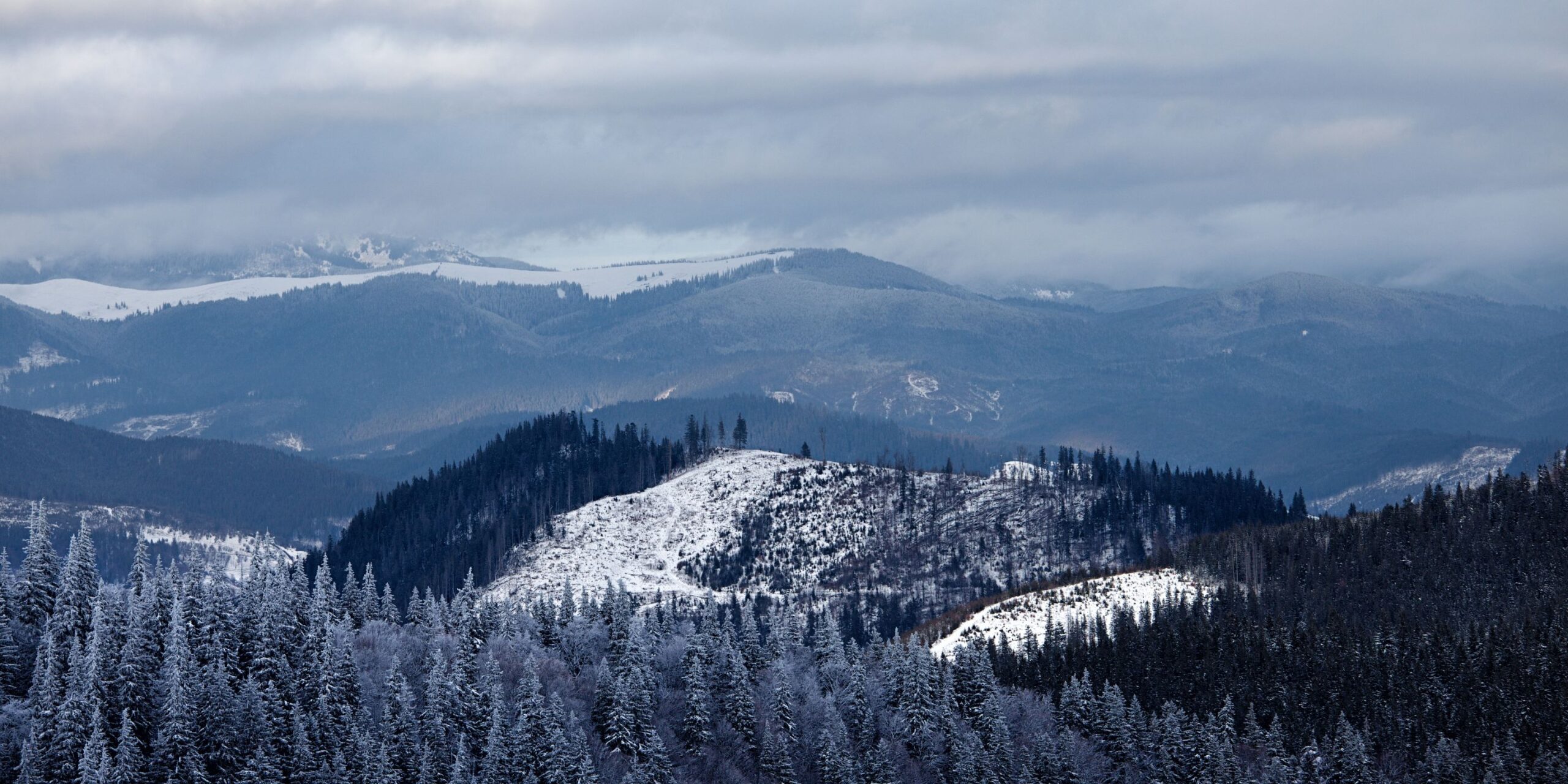 hiking is a great winter thing to do in the Smokies